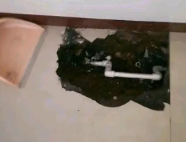 宜都卫生间测漏水多少钱